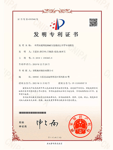 一种具有提高胎圈耐久性能的巨型子午线轮胎